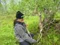 Vid Steinuglefloget